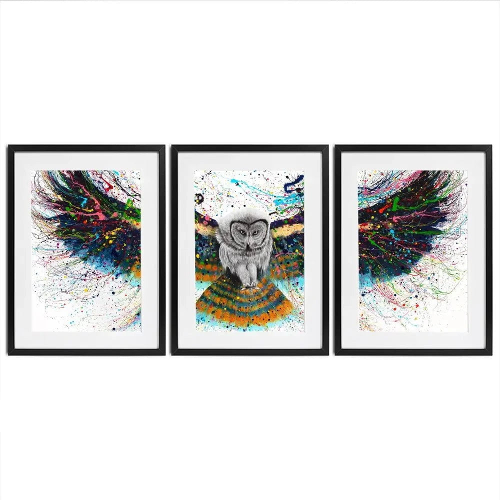 Hypnotic Twilight Owl Framed Art Print Trio Hypnotic Twilight Owl Framed Art Print Trio wall art product Ashvin Harrison