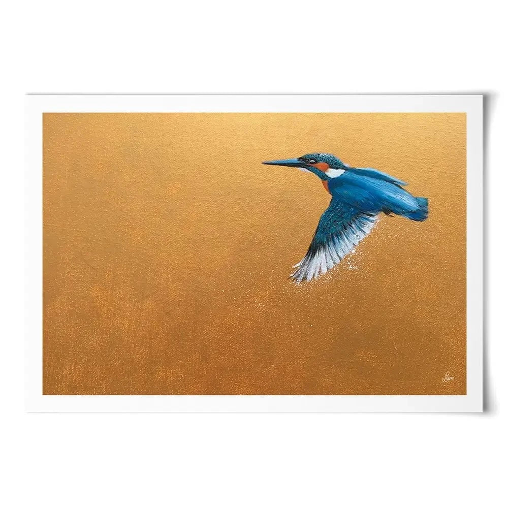 Kingfisher In Flight Art Print Kingfisher In Flight Art Print wall art product Laure Bury
