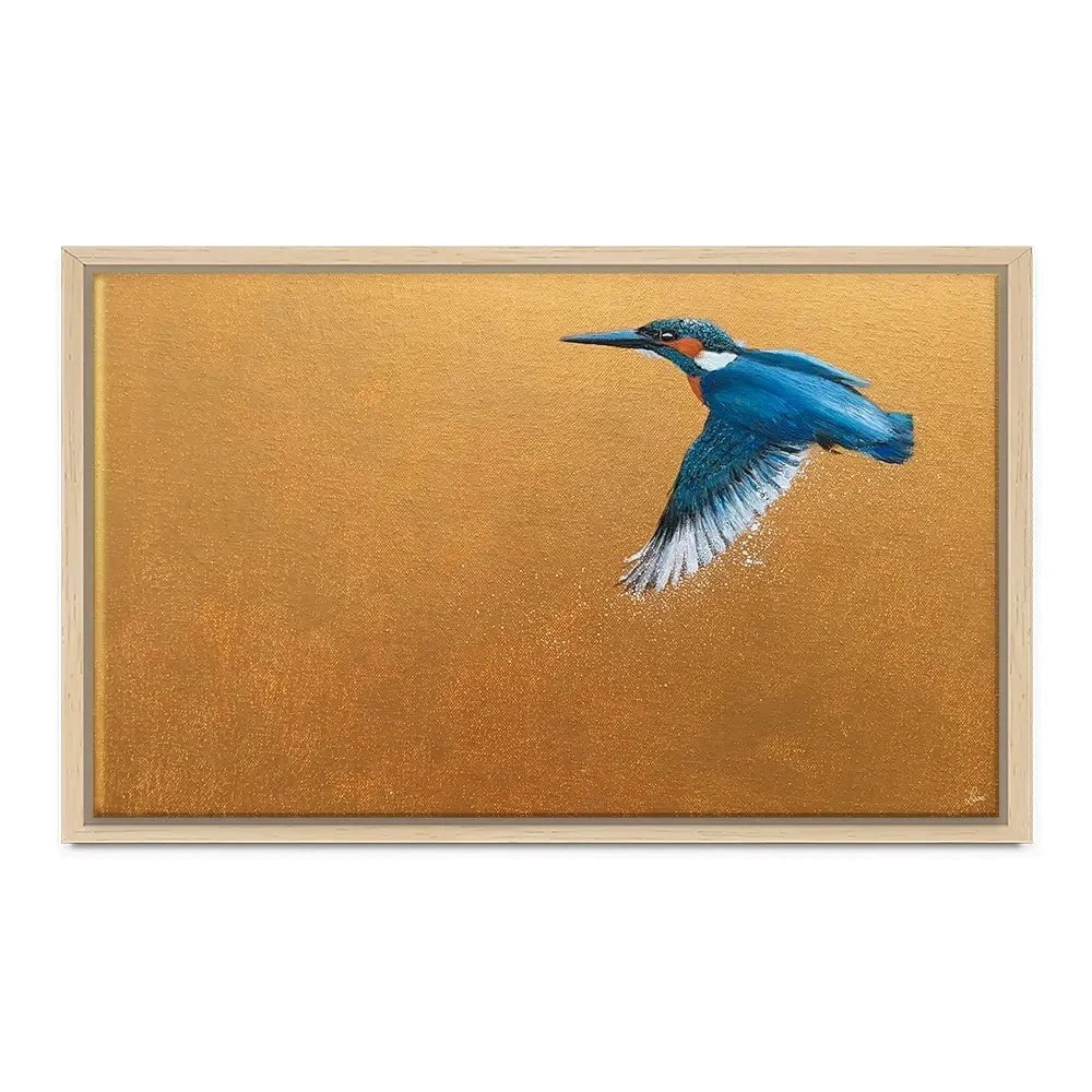 Kingfisher In Flight Canvas Print Kingfisher In Flight Canvas Print wall art product Laure Bury