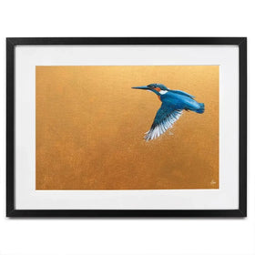 Kingfisher In Flight Framed Art Print Kingfisher In Flight Framed Art Print wall art product Laure Bury