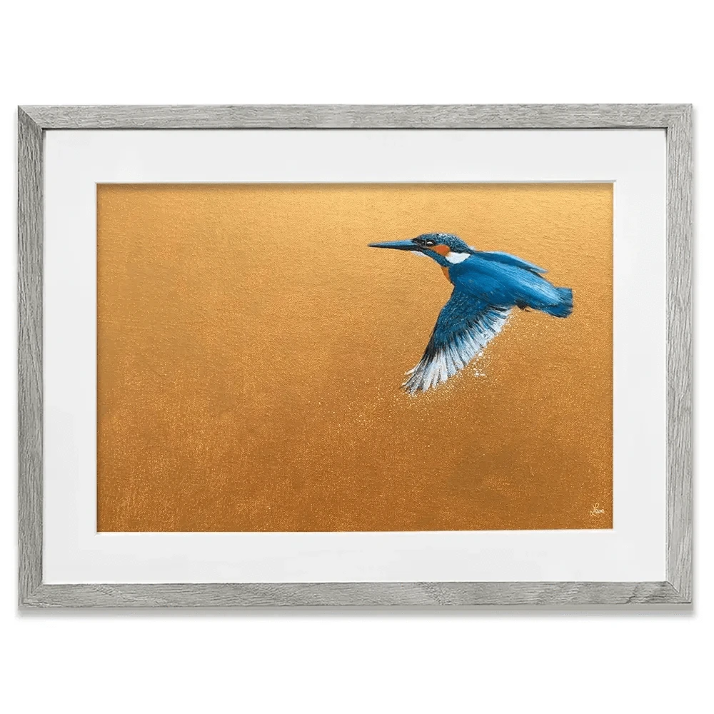 Kingfisher In Flight Framed Art Print Kingfisher In Flight Framed Art Print wall art product Laure Bury