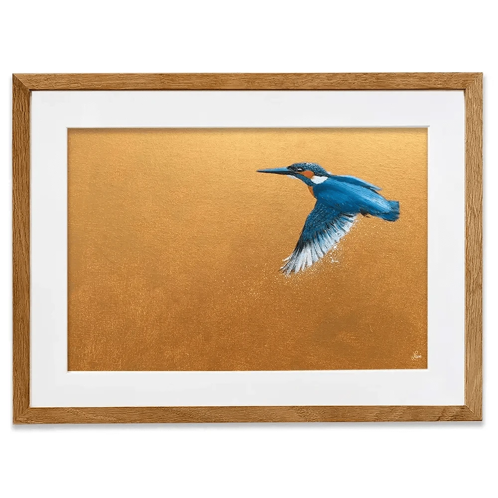 Kingfisher In Flight Framed Art Print Kingfisher In Flight Framed Art Print wall art product Laure Bury