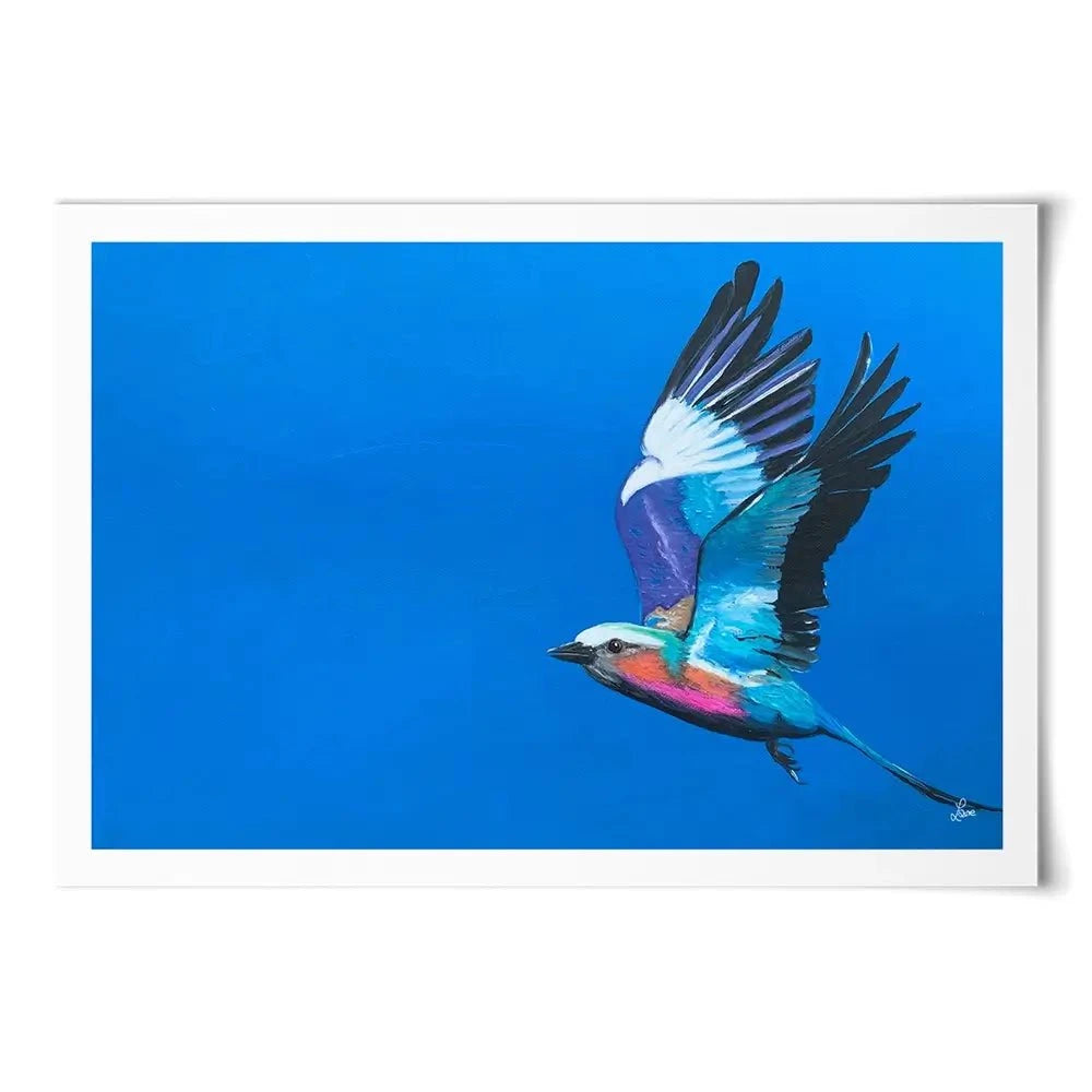 Lilac Breasted Roller In Flight Art Print Lilac Breasted Roller In Flight Art Print wall art product Laure Bury
