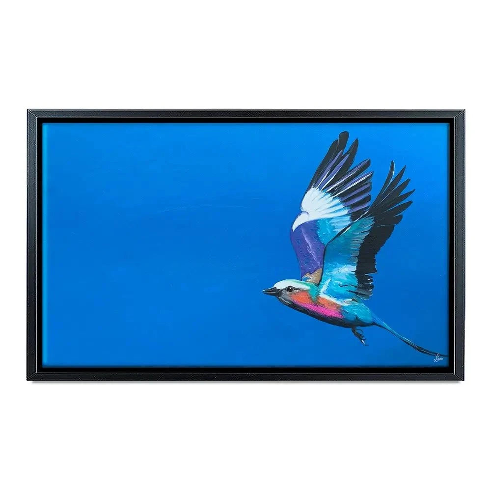 Lilac Breasted Roller In Flight Canvas Print Lilac Breasted Roller In Flight Canvas Print wall art product Laure Bury