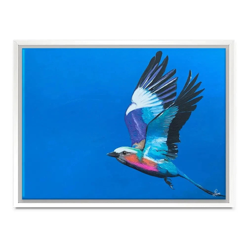 Lilac Breasted Roller In Flight Canvas Print Lilac Breasted Roller In Flight Canvas Print wall art product Laure Bury