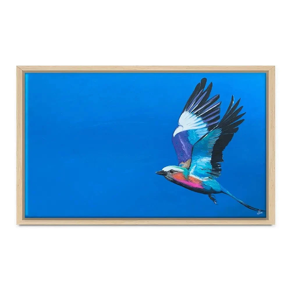 Lilac Breasted Roller In Flight Canvas Print Lilac Breasted Roller In Flight Canvas Print wall art product Laure Bury