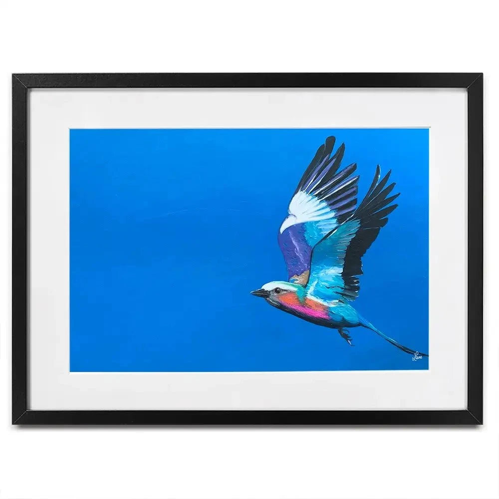Lilac Breasted Roller In Flight Framed Art Print Lilac Breasted Roller In Flight Framed Art Print wall art product Laure Bury