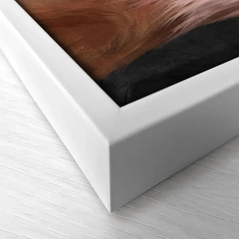 Lion Crown Canvas Print Lion Crown Canvas Print wall art product Svetlana Aleynikova