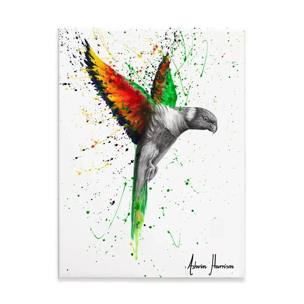 Lorikeet Larrikin Canvas Print Lorikeet Larrikin Canvas Print wall art product Ashvin Harrison