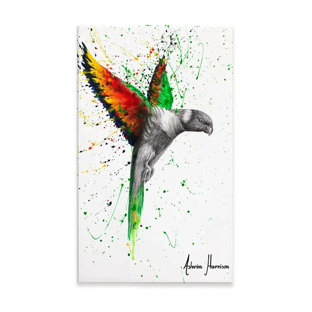 Lorikeet Larrikin Canvas Print Lorikeet Larrikin Canvas Print wall art product Ashvin Harrison