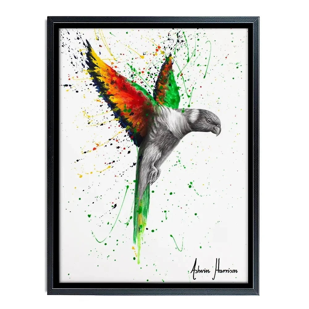 Lorikeet Larrikin Canvas Print Lorikeet Larrikin Canvas Print wall art product Ashvin Harrison