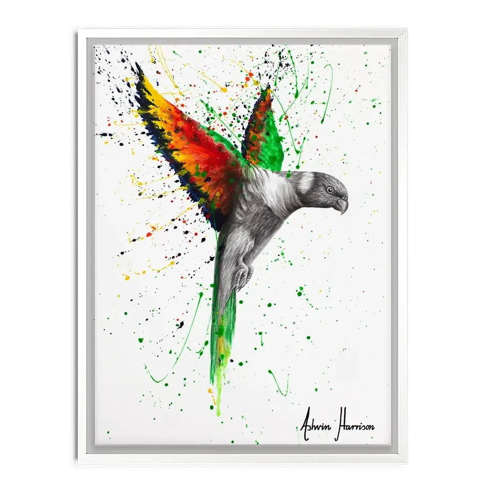 Lorikeet Larrikin Canvas Print Lorikeet Larrikin Canvas Print wall art product Ashvin Harrison