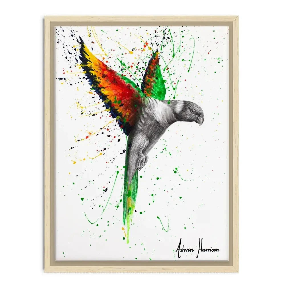 Lorikeet Larrikin Canvas Print Lorikeet Larrikin Canvas Print wall art product Ashvin Harrison