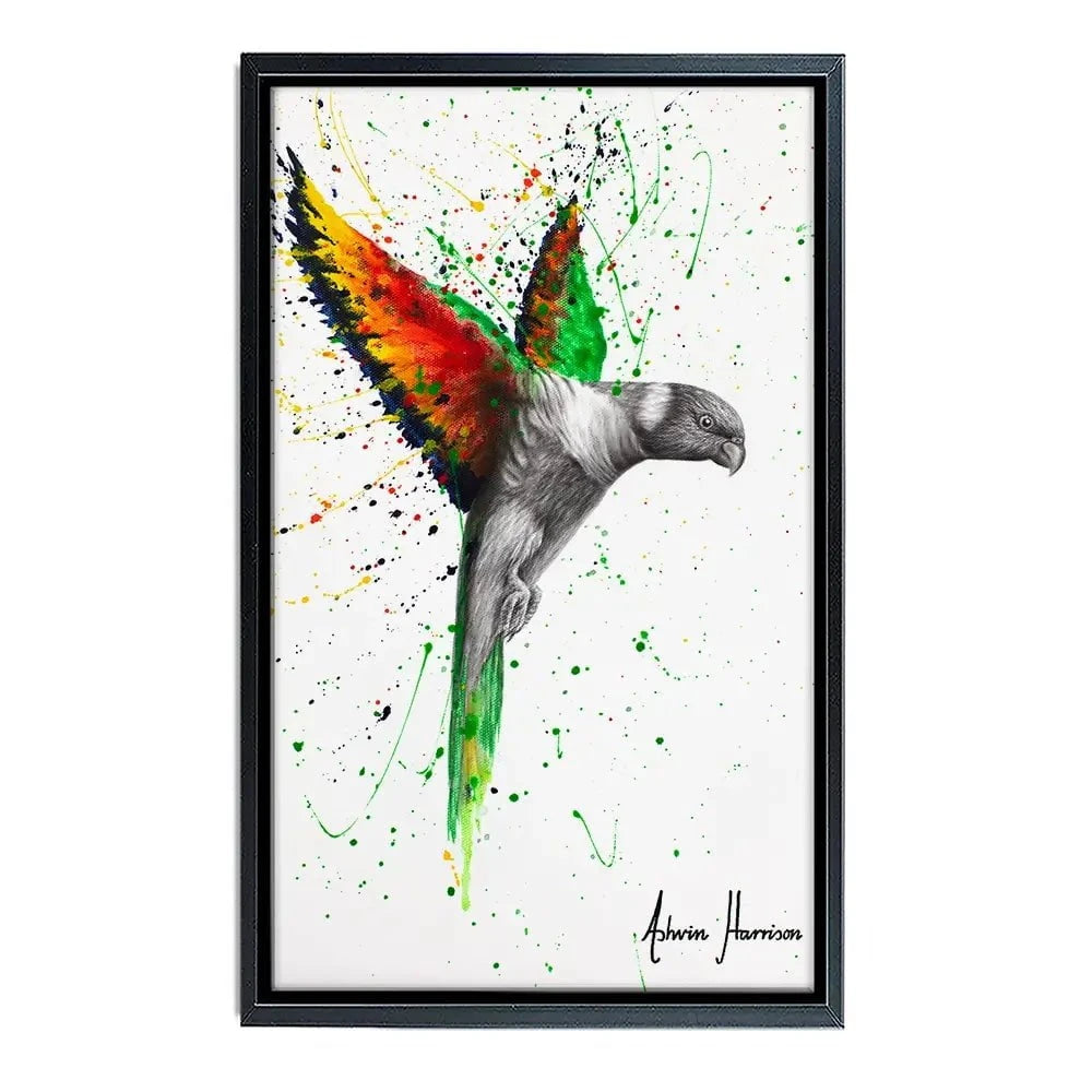 Lorikeet Larrikin Canvas Print Lorikeet Larrikin Canvas Print wall art product Ashvin Harrison