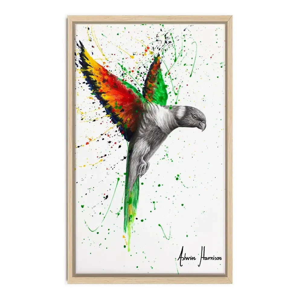 Lorikeet Larrikin Canvas Print Lorikeet Larrikin Canvas Print wall art product Ashvin Harrison