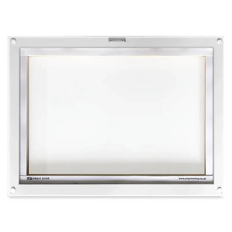 Maximus The Toucan Canvas Print Maximus The Toucan Canvas Print wall art product Emma LC Art