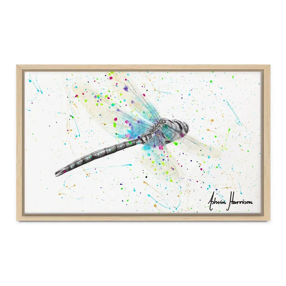 Melaleuca Dragonfly Canvas Print Melaleuca Dragonfly Canvas Print wall art product Ashvin Harrison