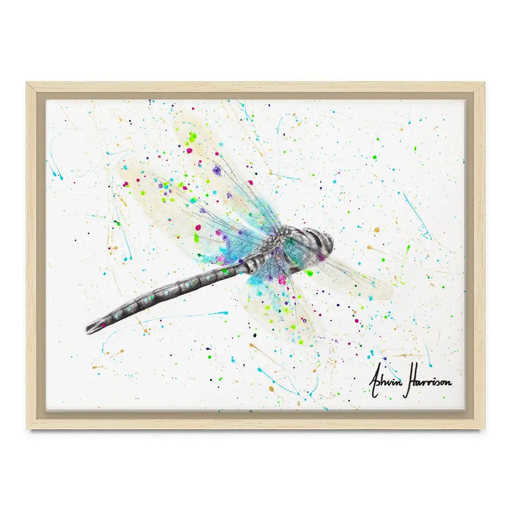 Melaleuca Dragonfly Canvas Print Melaleuca Dragonfly Canvas Print wall art product Ashvin Harrison