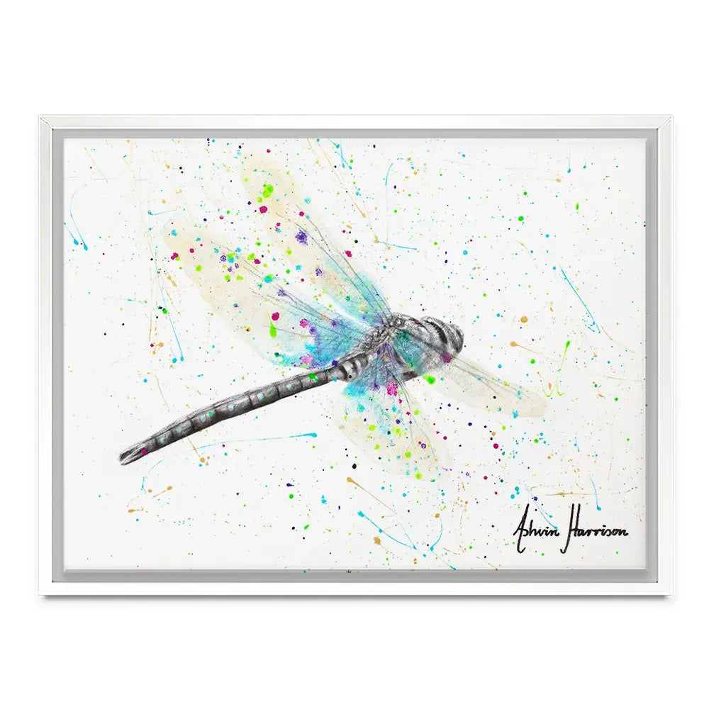 Melaleuca Dragonfly Canvas Print Melaleuca Dragonfly Canvas Print wall art product Ashvin Harrison