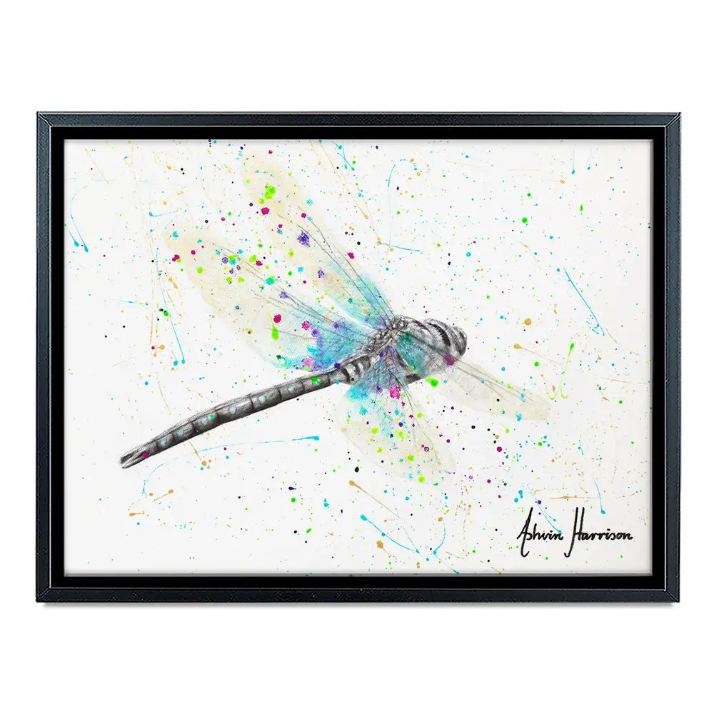 Melaleuca Dragonfly Canvas Print Melaleuca Dragonfly Canvas Print wall art product Ashvin Harrison