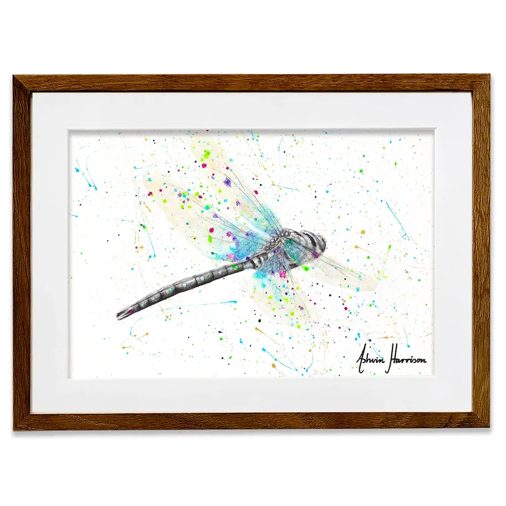 Melaleuca Dragonfly Framed Art Print Melaleuca Dragonfly Framed Art Print wall art product Ashvin Harrison
