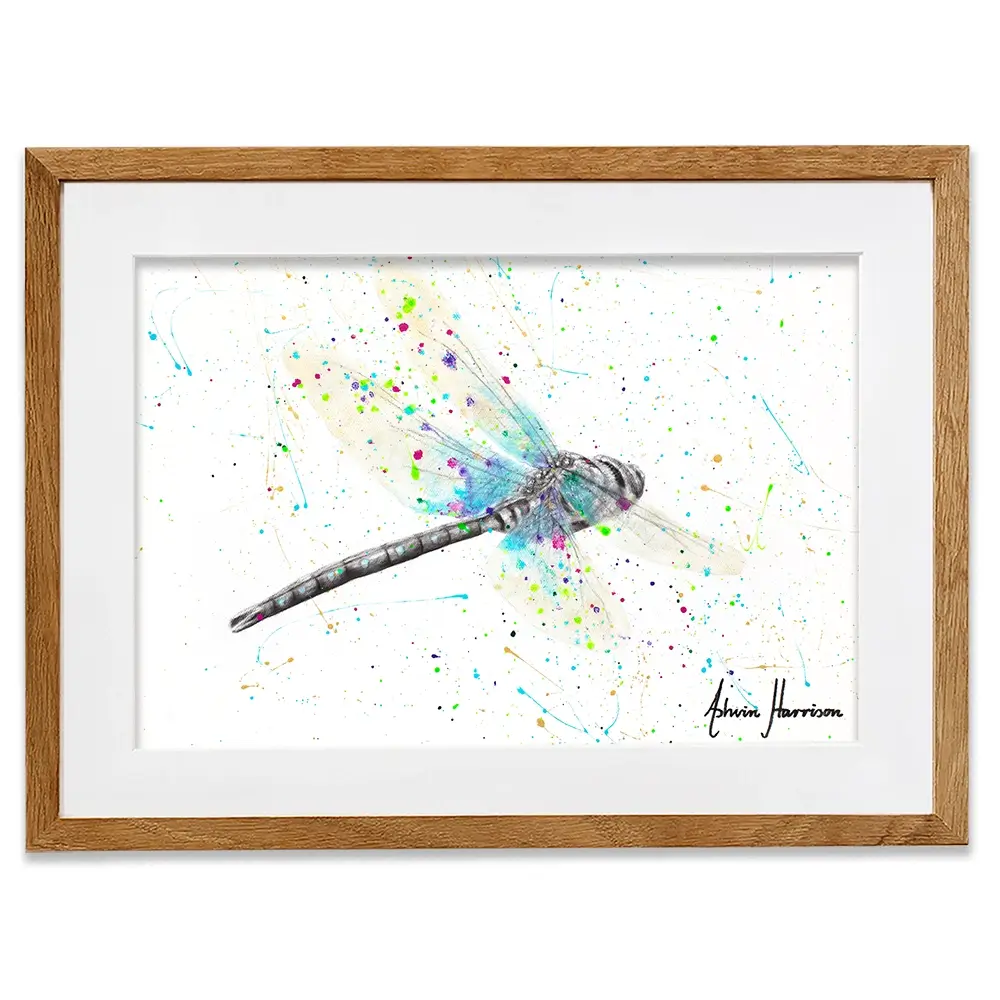 Melaleuca Dragonfly Framed Art Print Melaleuca Dragonfly Framed Art Print wall art product Ashvin Harrison