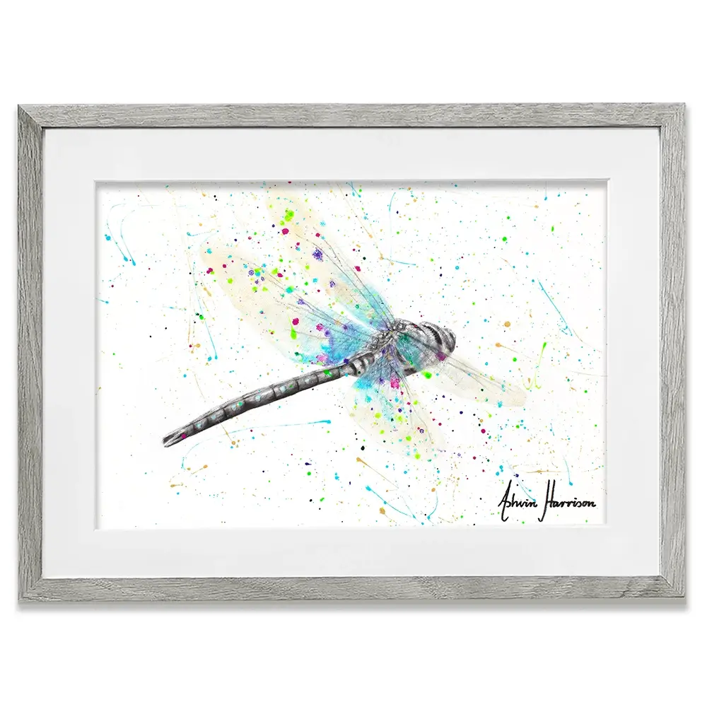 Melaleuca Dragonfly Framed Art Print Melaleuca Dragonfly Framed Art Print wall art product Ashvin Harrison