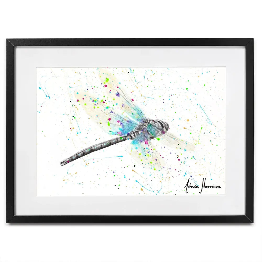 Melaleuca Dragonfly Framed Art Print Melaleuca Dragonfly Framed Art Print wall art product Ashvin Harrison