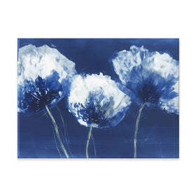 Midnight Poppies Canvas Print Midnight Poppies Canvas Print wall art product Chromatic Storm Studio
