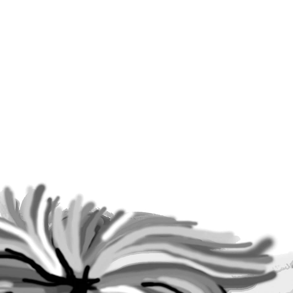 Monochrome Highland Cow Square Canvas Print wall art product Independent