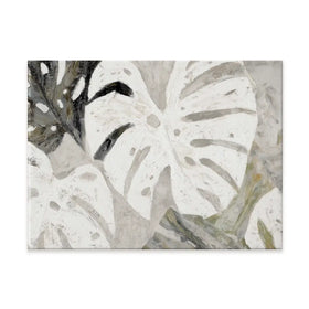 Monstera Fronds Quiet Canvas Print Monstera Fronds Quiet Canvas Print wall art product Chromatic Storm Studio