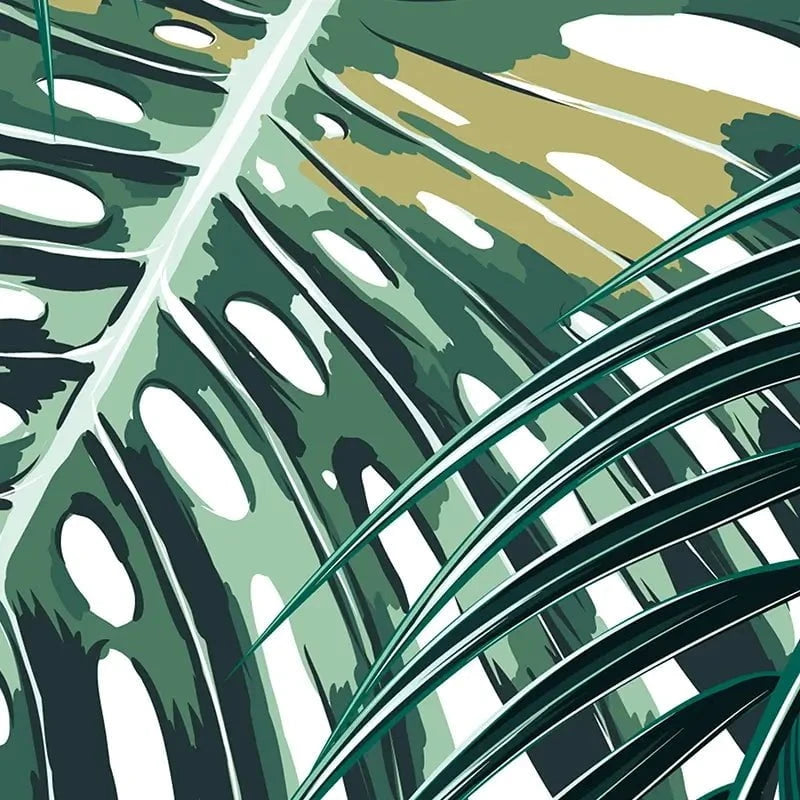 Monstera Leaves 2 Canvas Print Monstera Leaves 2 Canvas Print wall art product NataliaKo / Shutterstock