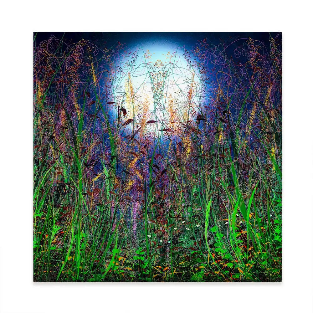 Moonlight Shadows Square Canvas Print Moonlight Shadows Square Canvas Print wall art product Lena Owens - Independent