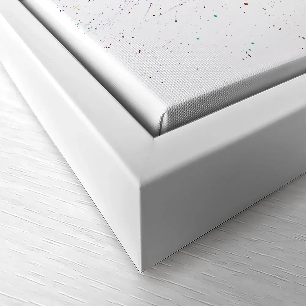 Opal Dance Canvas Print Opal Dance Canvas Print wall art product Ashvin Harrison