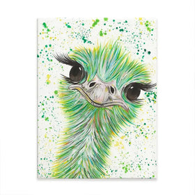 Ostrich Frank Canvas Print Ostrich Frank Canvas Print wall art product Emma LC Art