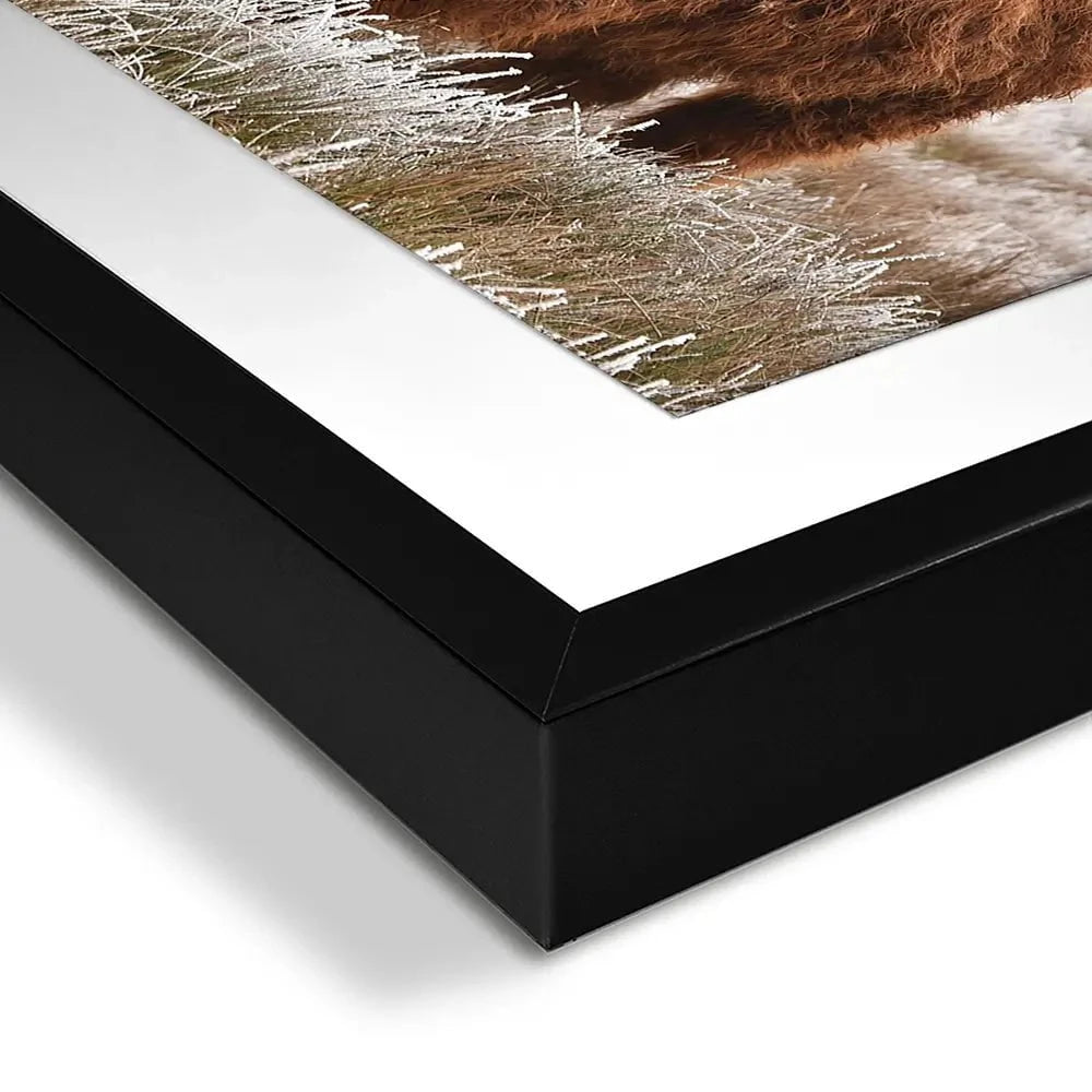 Pair Of Winter Cows Framed Art Print Pair Of Winter Cows Framed Art Print wall art product defotoberg / Shutterstock