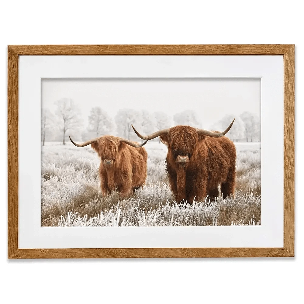 Pair Of Winter Cows Framed Art Print Pair Of Winter Cows Framed Art Print wall art product defotoberg / Shutterstock