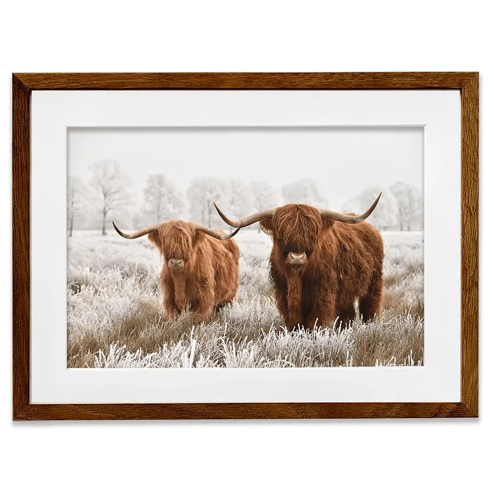 Pair Of Winter Cows Framed Art Print Pair Of Winter Cows Framed Art Print wall art product defotoberg / Shutterstock
