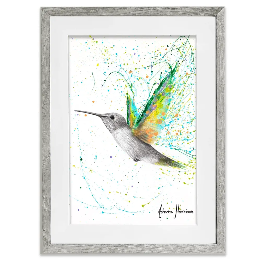 Peach Summer Hummingbird Framed Art Print Peach Summer Hummingbird Framed Art Print wall art product Ashvin Harrison