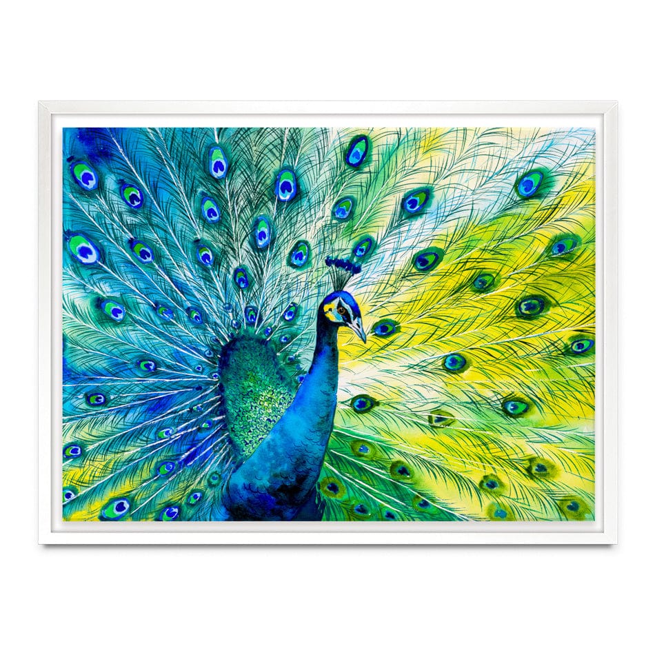 Peacock Power Canvas Print wall art product CYC / Shutterstock