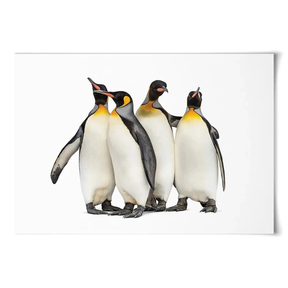 Penguin Gang Art Print Penguin Gang Art Print wall art product Eric Isselee / Shutterstock