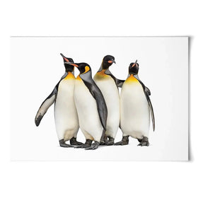 Penguin Gang Art Print Penguin Gang Art Print wall art product Eric Isselee / Shutterstock