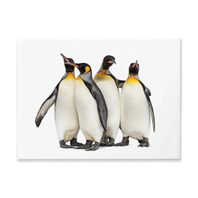 Penguin Gang Canvas Print Penguin Gang Canvas Print wall art product Eric Isselee / Shutterstock