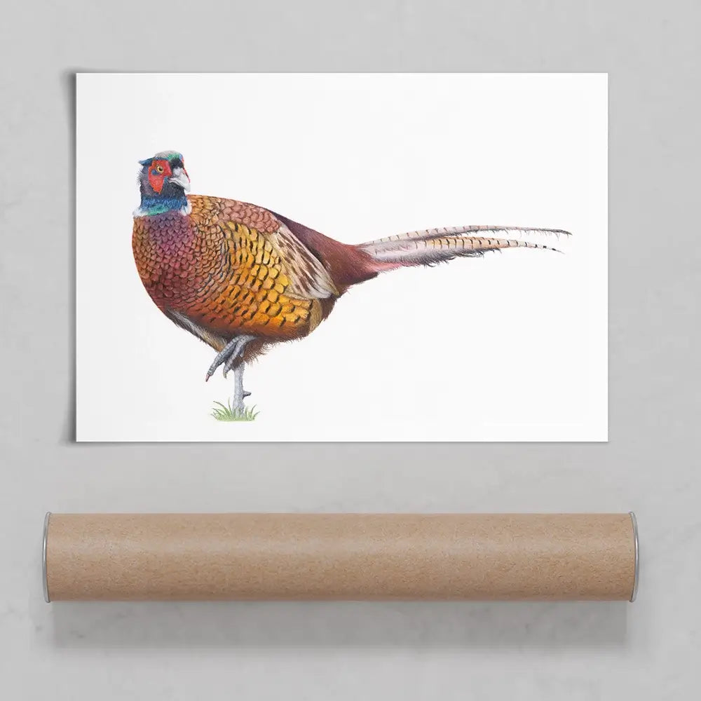Pheasant On One Foot Art Print Pheasant On One Foot Art Print wall art product Georgie Turner