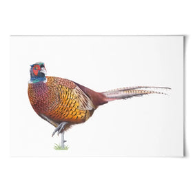 Pheasant On One Foot Art Print Pheasant On One Foot Art Print wall art product Georgie Turner