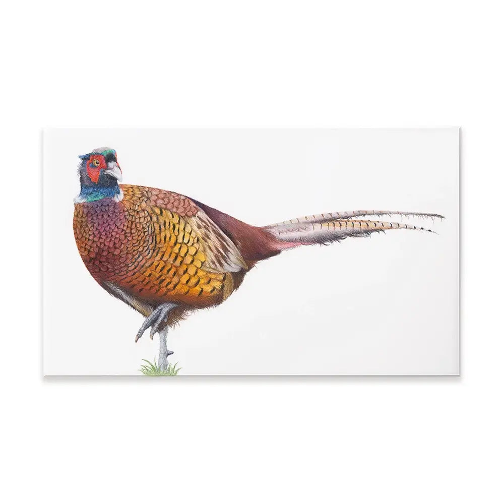 Pheasant On One Foot Canvas Print Pheasant On One Foot Canvas Print wall art product Georgie Turner