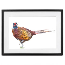 Pheasant On One Foot Framed Art Print Pheasant On One Foot Framed Art Print wall art product Georgie Turner