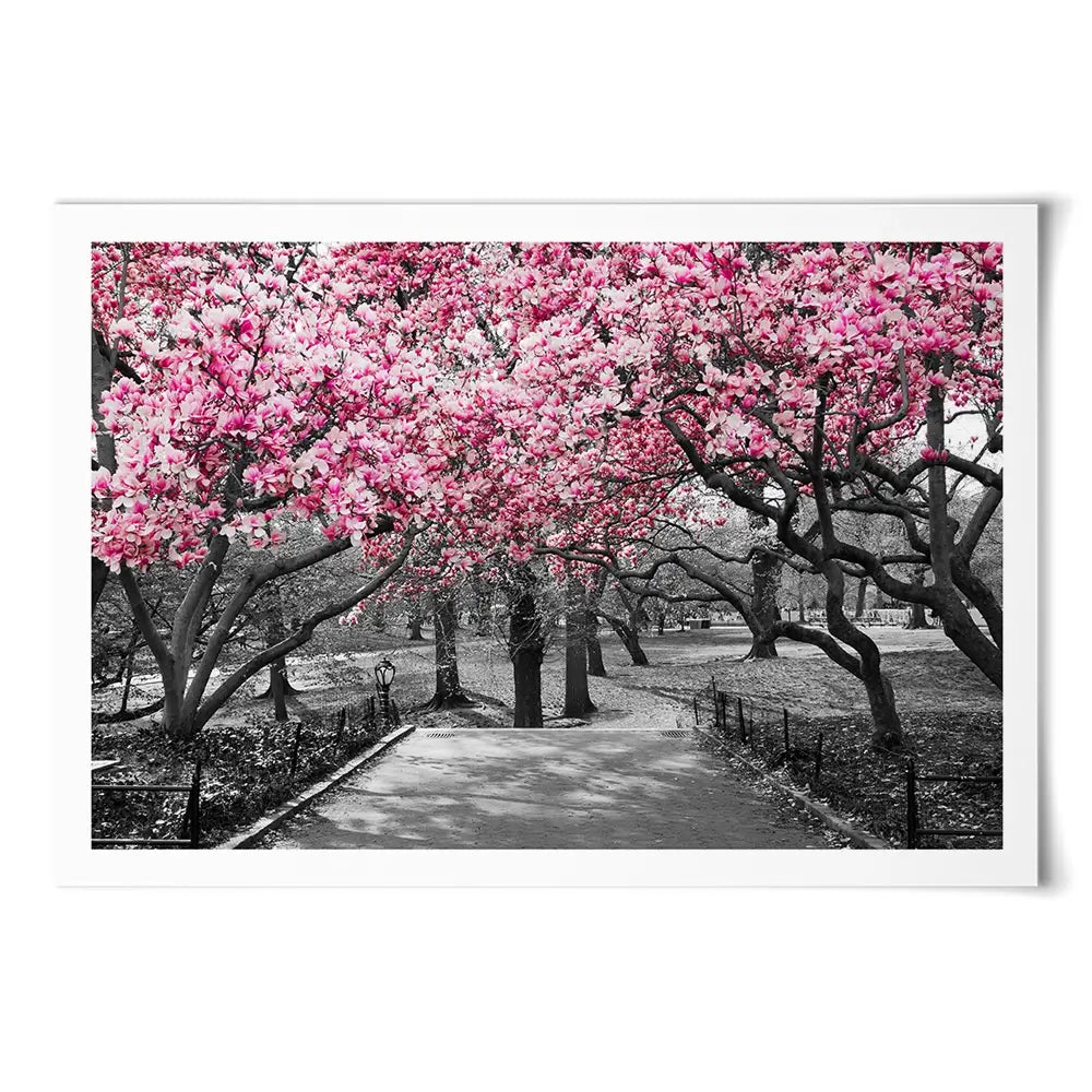 Pink Blossom Trees Art Print Pink Blossom Trees Art Print wall art product Ryan DeBerardinis / Shutterstock