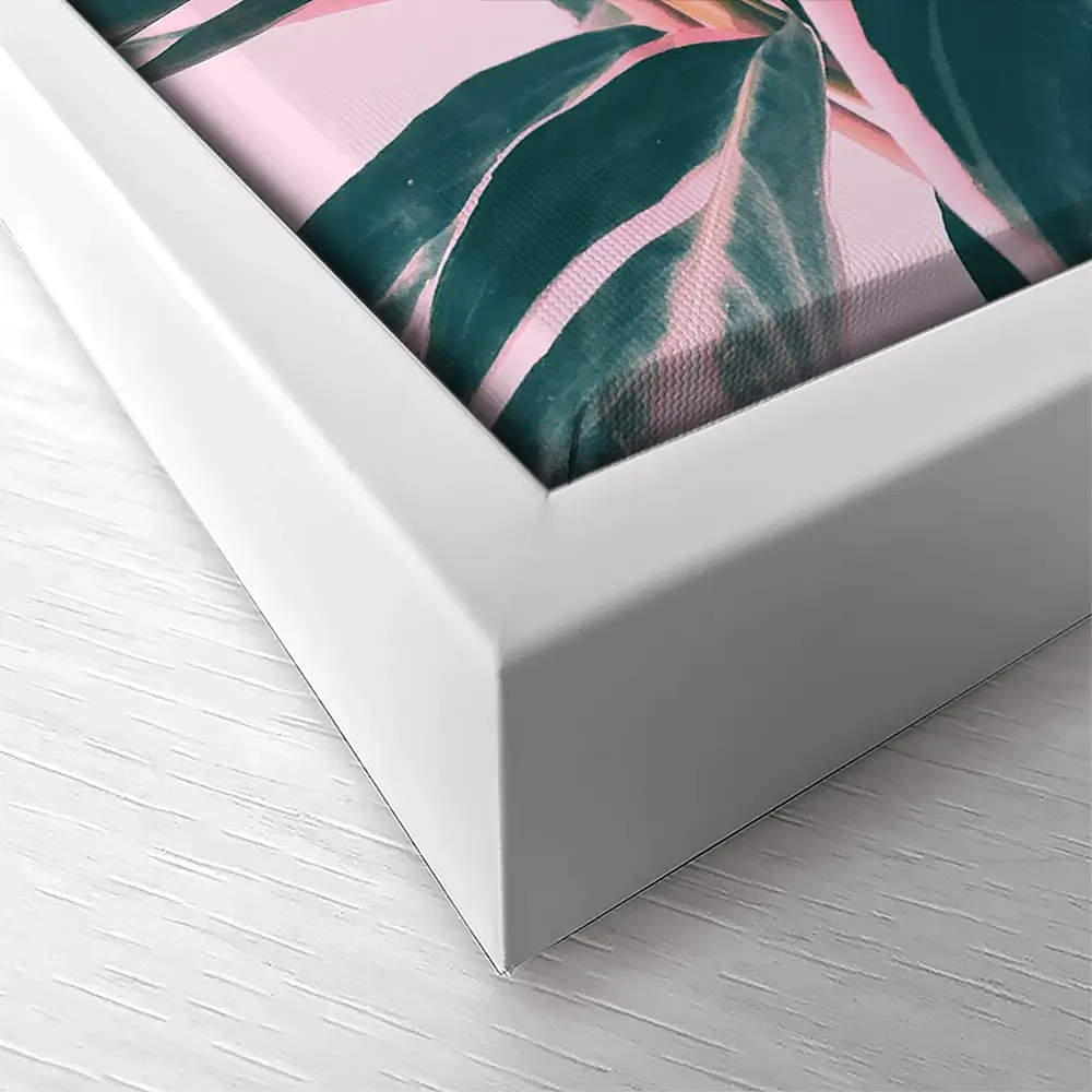 Pink Kalathea Canvas Print Pink Kalathea Canvas Print wall art product Emanuela Carratoni - Independent