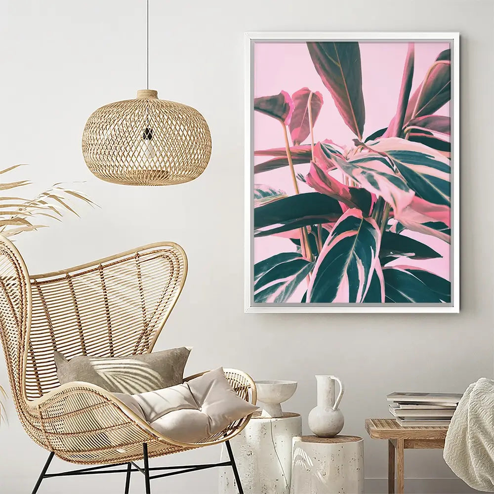 Pink Kalathea Canvas Print Pink Kalathea Canvas Print wall art product Emanuela Carratoni - Independent